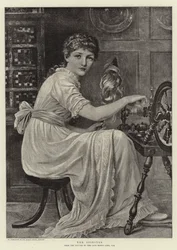 The Spinster